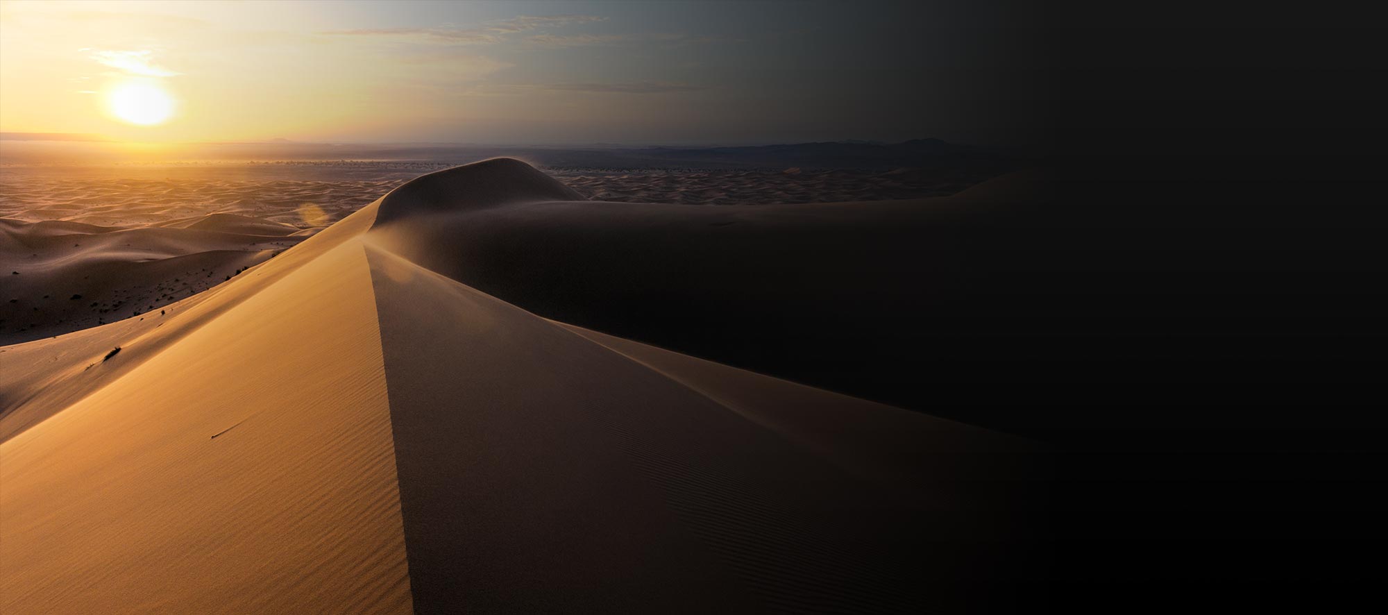 A sand dune in a desert